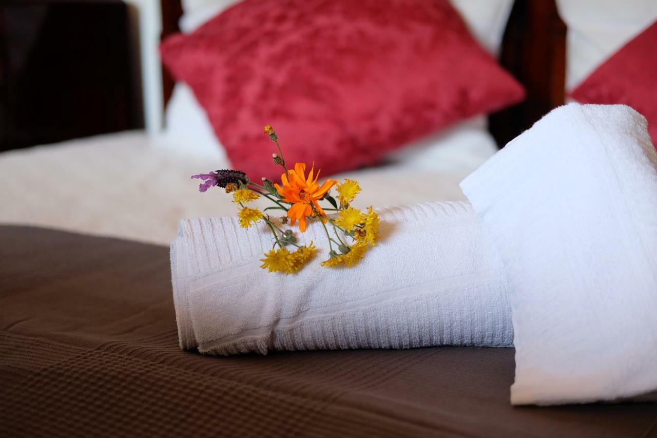 Villa Teca & Succo - Nature E Relax Sestri Levante Exterior foto